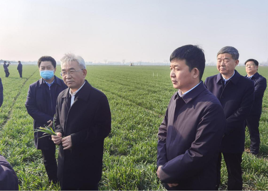 农业农村部副部长张桃林莅临西平县调研指导春耕生产